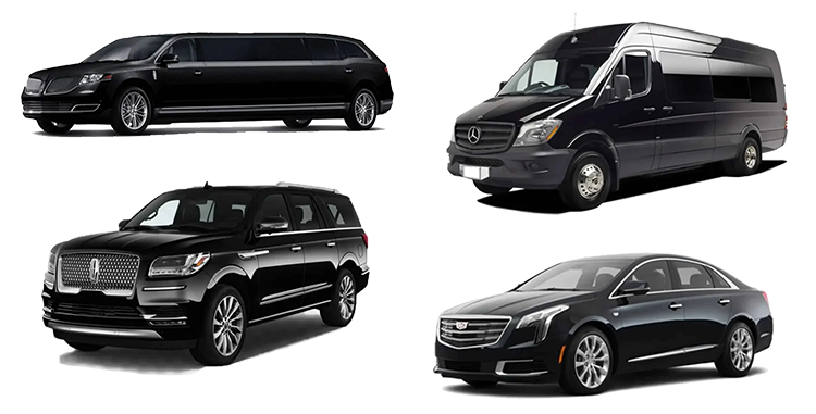 Fleet options at Skyline Chicago Limo