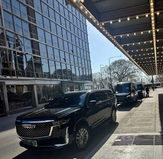 party van rental tips for limo services in chicago