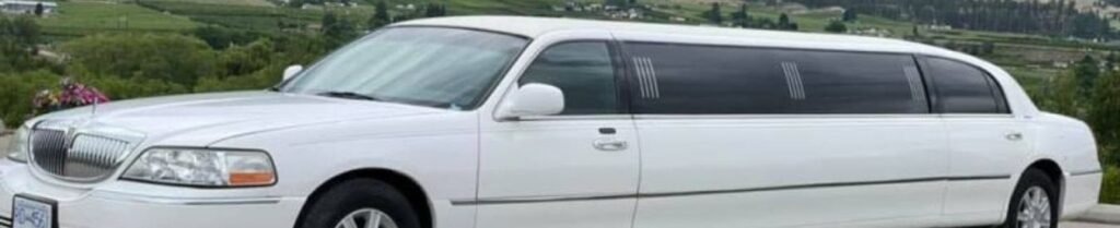 Can I Book a Limousine on Short Notice? - White limousine parked in scenic landscape