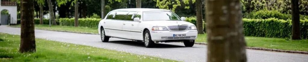 Can You Rent a Limousine Without a Driver? - White limousine driving on tree-lined road.