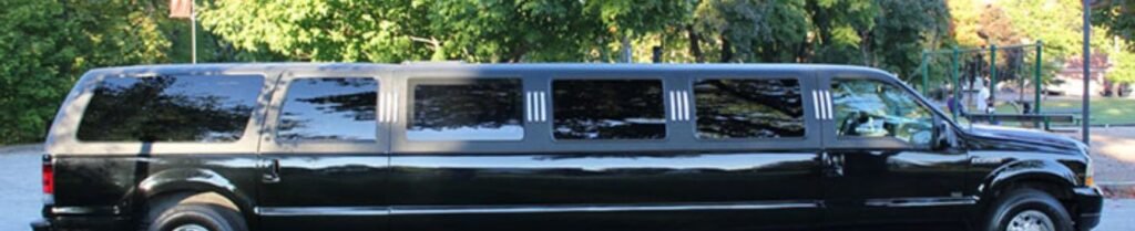 What Amenities Do Limousines Have? - Black stretch limo parked in park with trees.