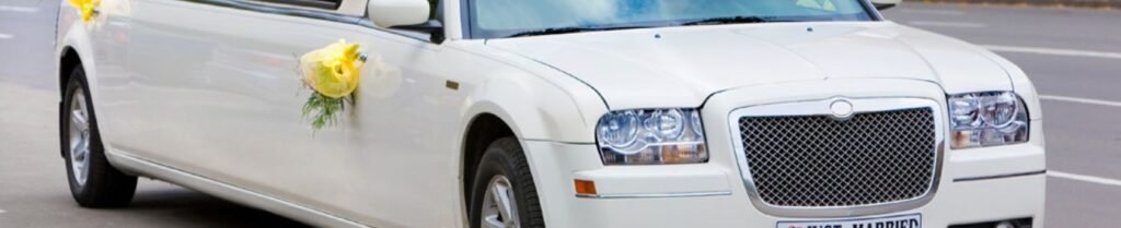 Why is a Limousine Called a Limousine? - White limousine decorated with yellow flowers on street.