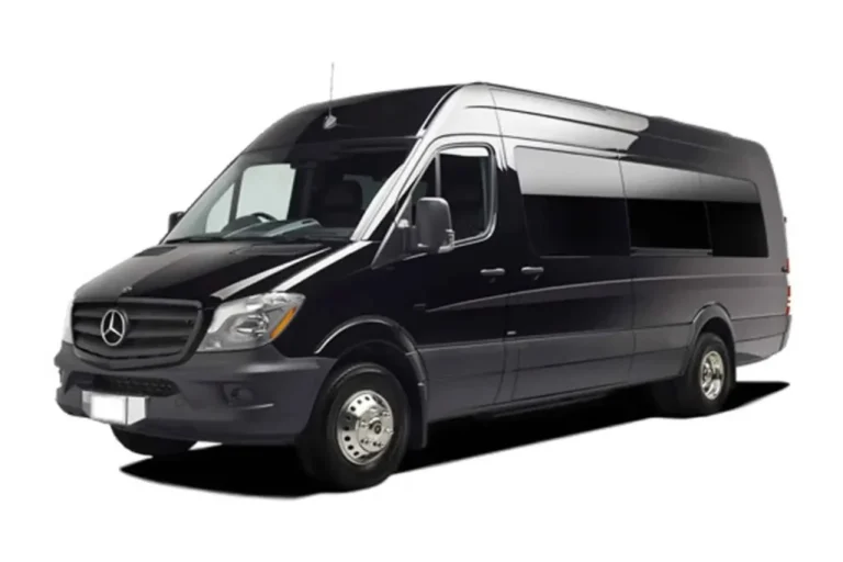 Black Mercedes-Benz Sprinter van on white background.