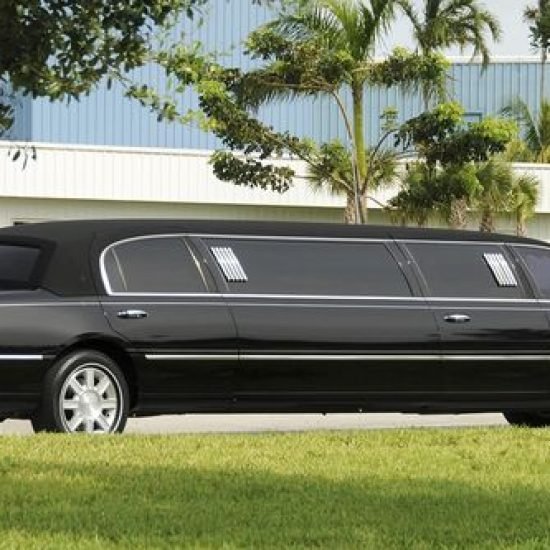 Can We Make Multiple Stops on Our Limo Ride? - Black limousine parked near palm trees